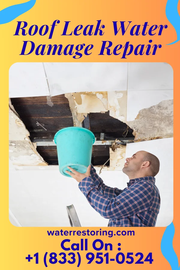 Roof Leak Water Damage Repair in Jones Valley, CA